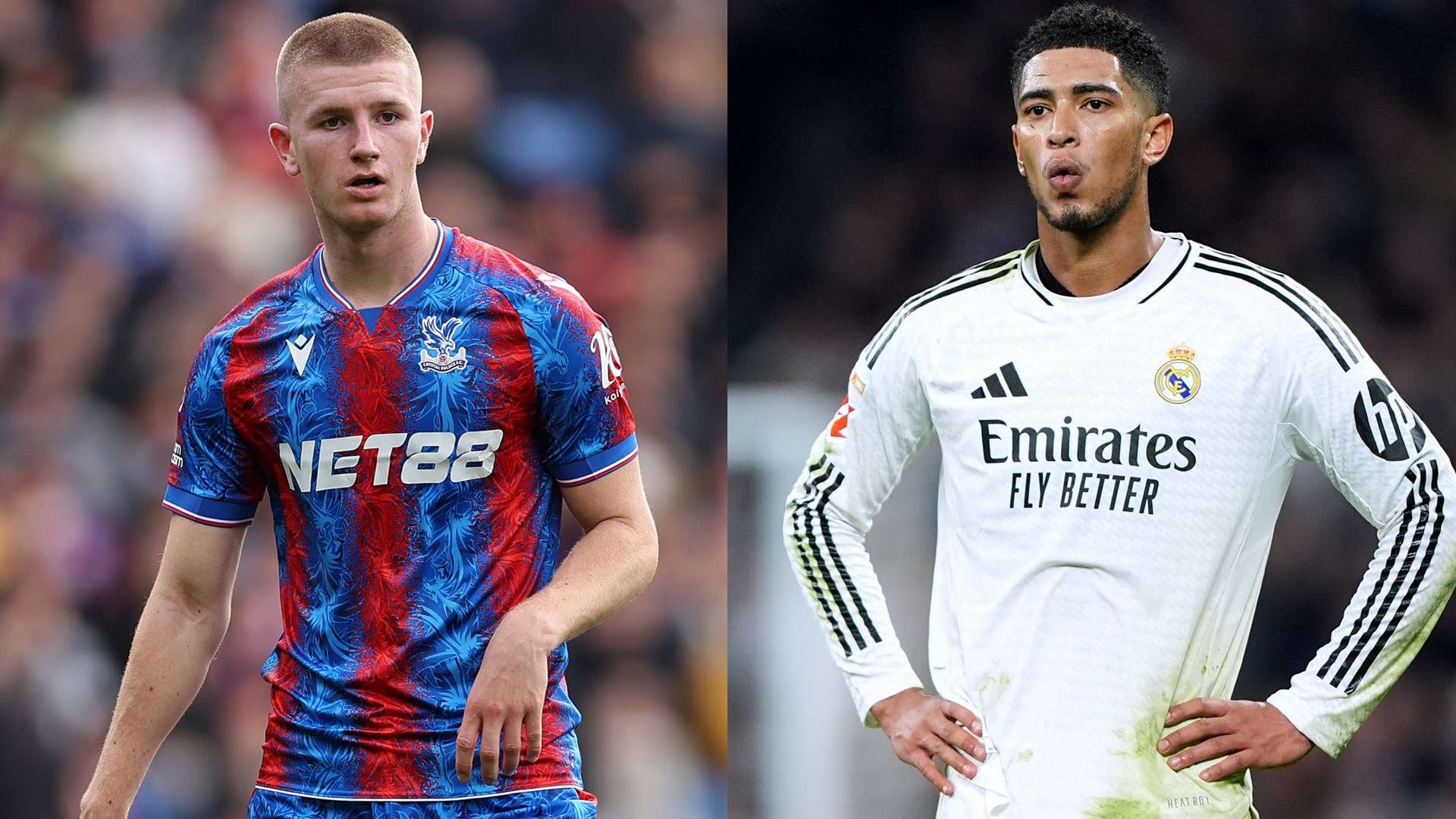 乎成为定局 乎成为定局